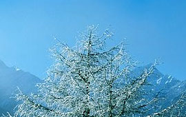 便宜的自助平台推荐的DDOS攻击